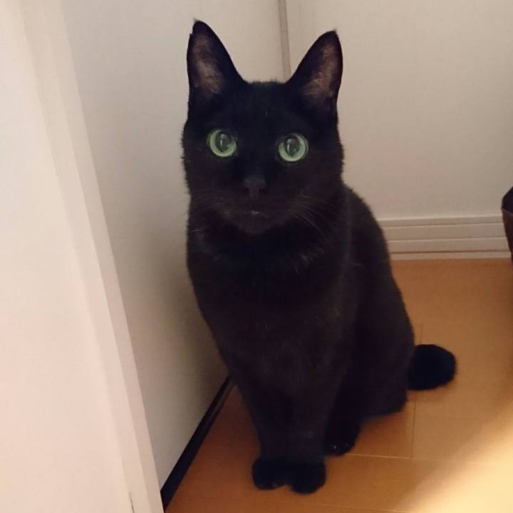 1136e9f1 a382 4915 a6db 127579bf57dd 1509718485850