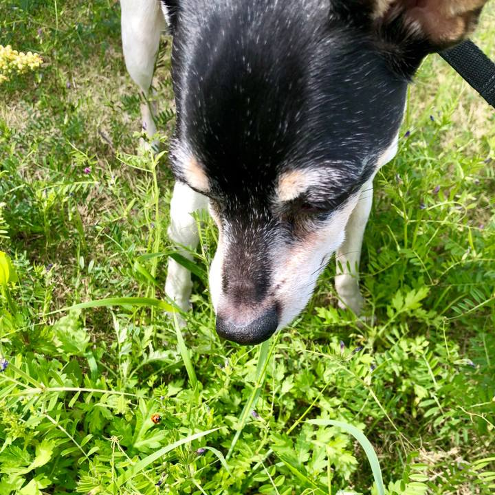 11370489 df58 488c a2e5 fd9dadbe6b0d 1556719257248