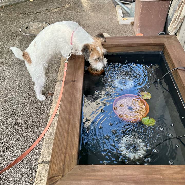 11379384 4d4e 4f2c b1fa ea35b1b89665 1693713230253