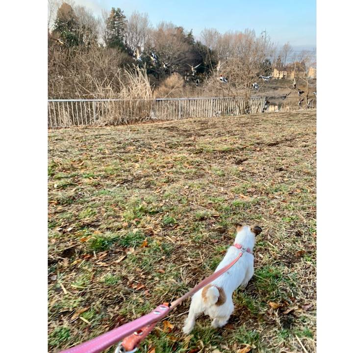 113795f8 f527 445a a074 6cb7287b71cd 1646435911425