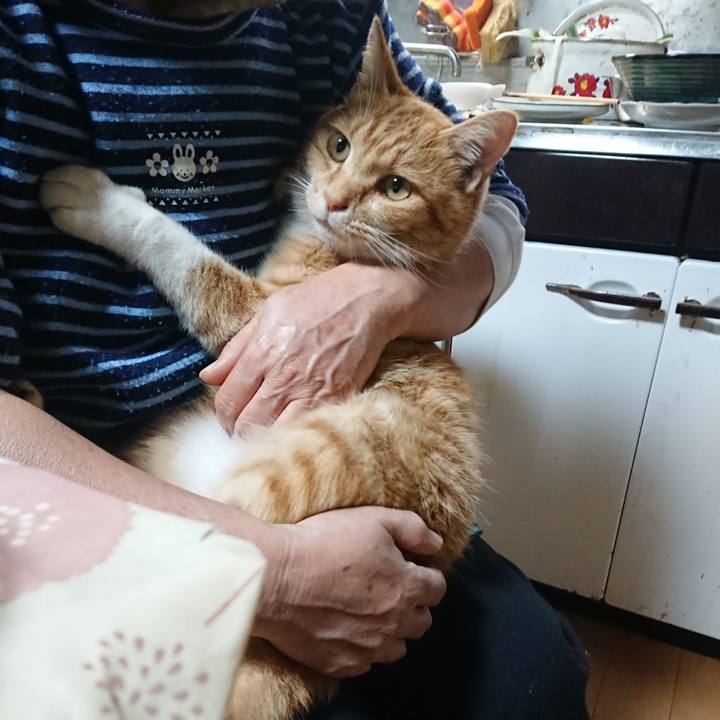 11379ef8 0d3f 4526 a33a d3f669cdd00c 1604722877655