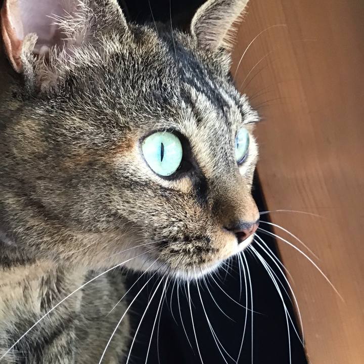 113819cb a408 49d9 8d3e f27c96e693a9 1662805548462