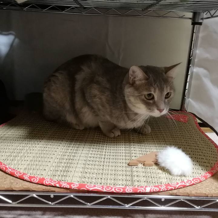 11386420 ee76 4bc1 8751 c42c53f1ca9e 1532178884700