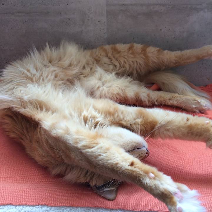 11389e65 c838 4f72 a6bc 210836f37109 1555073724966