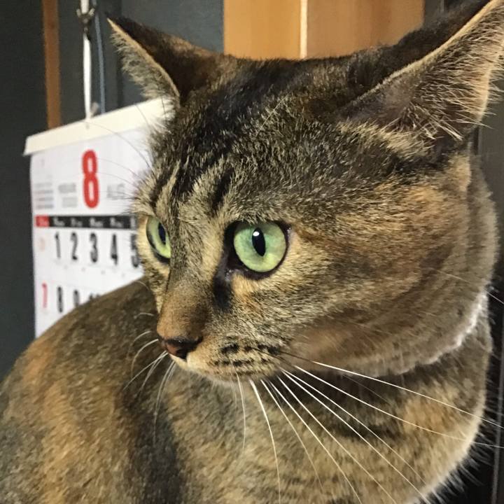 1138a38d 7879 46ab a579 0a576e61c8dd 1661944284640