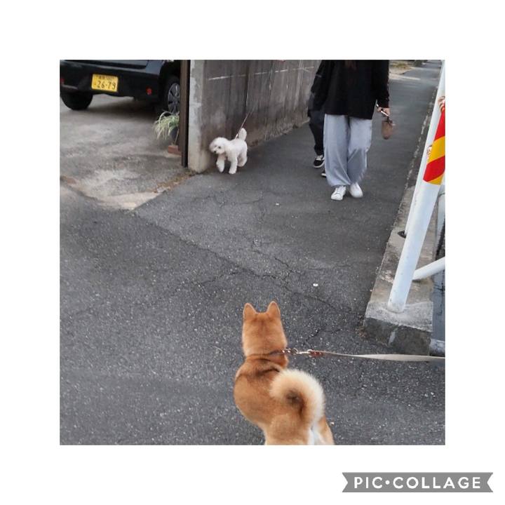 1138bb14 e155 4214 9bb1 3d96a56a59f1 1666437067108