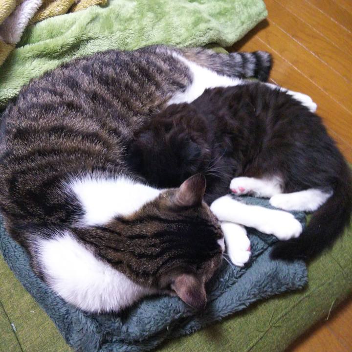 1138bd7b 13c7 4e1b a86c fc4da39aeb8b 1640958450696