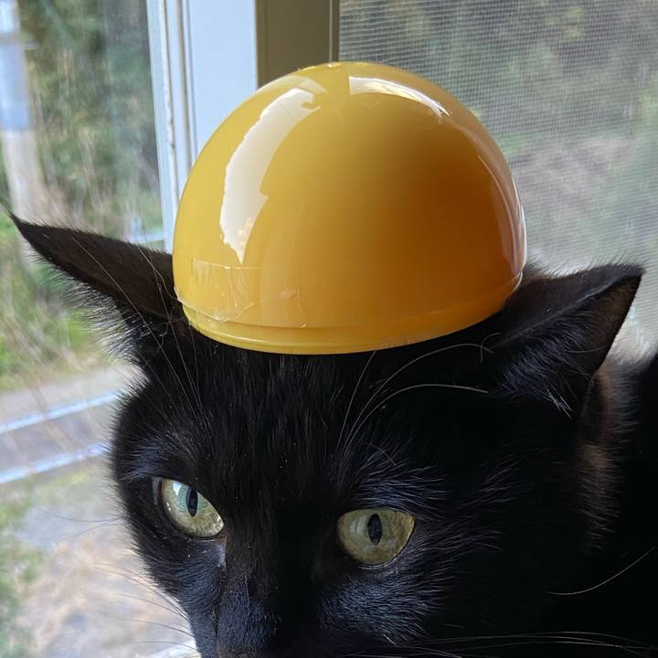 1138ef0f 2d51 4826 94bd de87d6f9ae8d 1640963878412