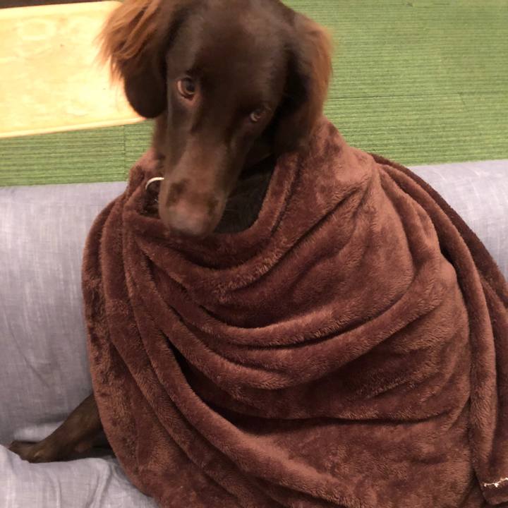 113930c4 a379 4054 aa5d 747016868a50 1576536914455