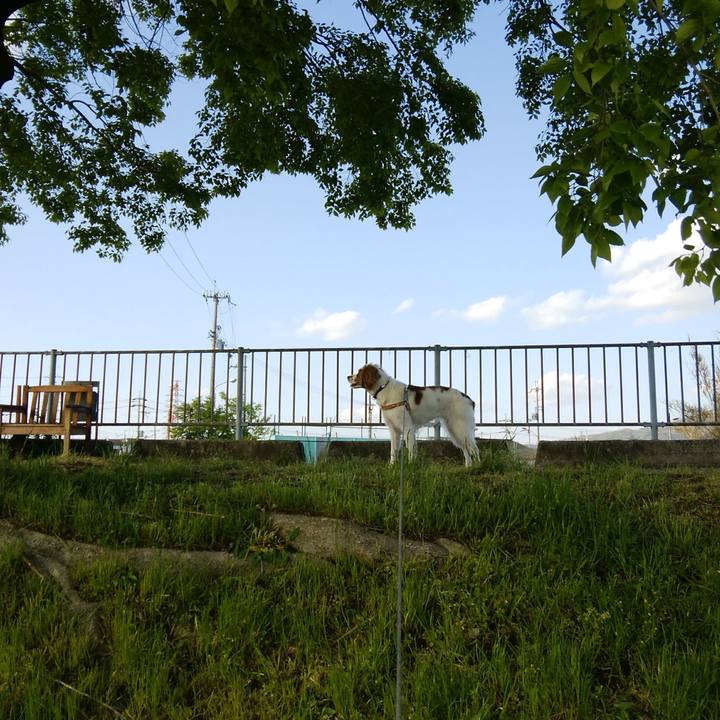 11395923 8eeb 422e 940b a25d74ab2c6f 1524052406220