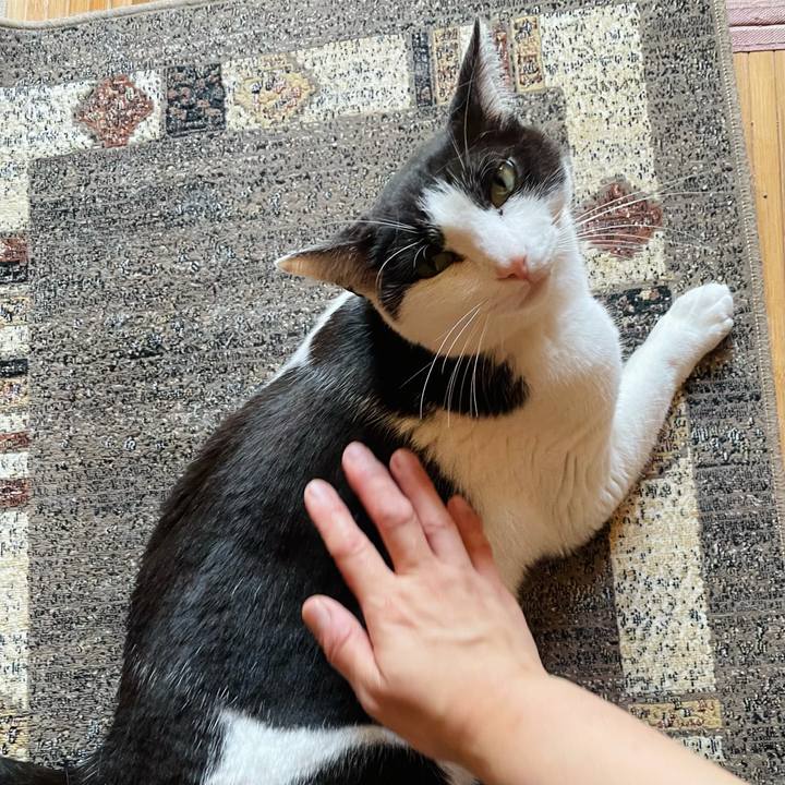 113969ea 1f44 4635 a0e1 c4497bb1ec31 1624157241061