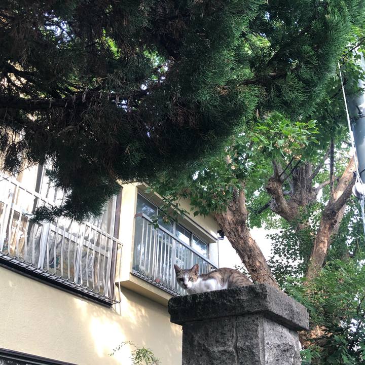 11398c12 3f3c 4454 9975 da9d8b7cff5c 1603573144189