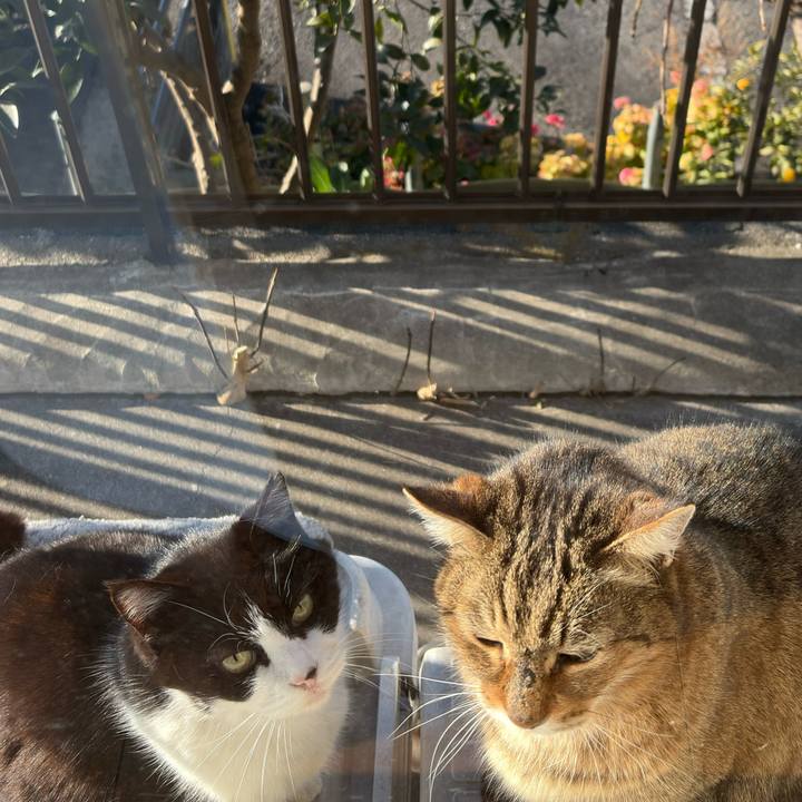 1139b6ea a795 49cc b6ff 171e8a683d8b 1770163828087