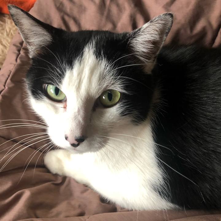 1139c899 0fef 4540 821b f7d01dbc9dda 1614911243754