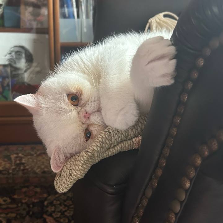 1139e26f 8704 45dc 9241 bfad7dcc4c76 1696385971807