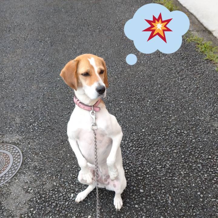 1139eb9c 7b70 4ece af68 88db3fb7b9aa 1594705415589