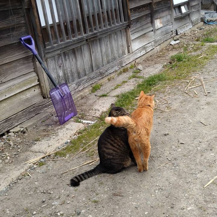 113a073f 8c17 46df aaa9 3ec3dde6fdba 1680762185127