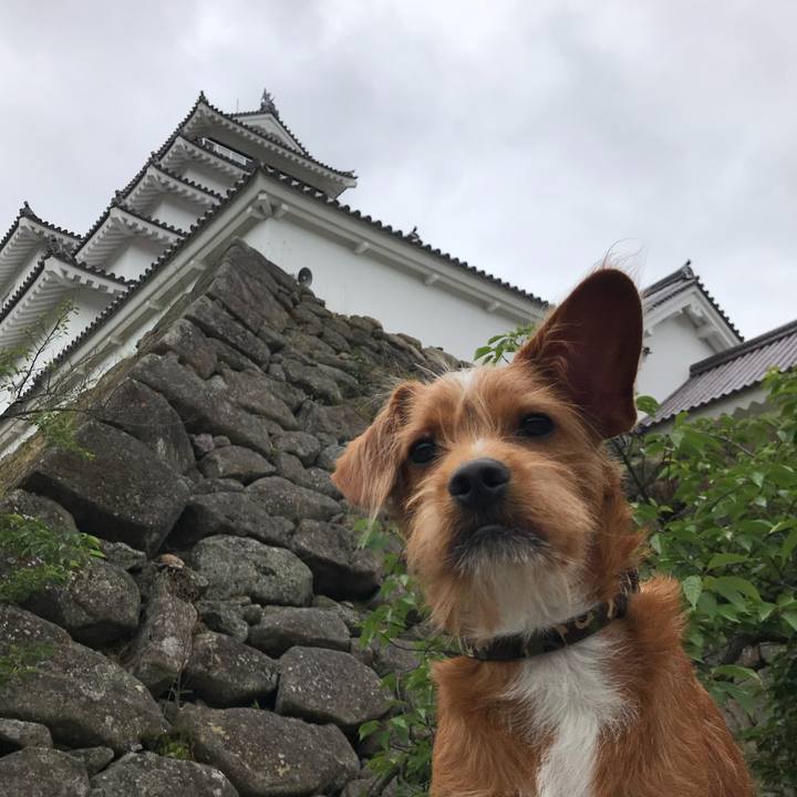 113a0a1d fdb5 4fc2 a3a7 65cd5e4bdf64 1529123913568