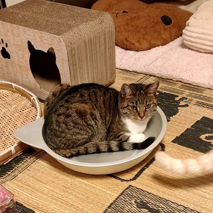 113a10ba 8ec1 43d0 ac8c 73a29e062b16 1659356482256