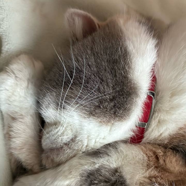 113a1af6 0bb9 47a0 921c 9fdc3d7bd53b 1770678639592