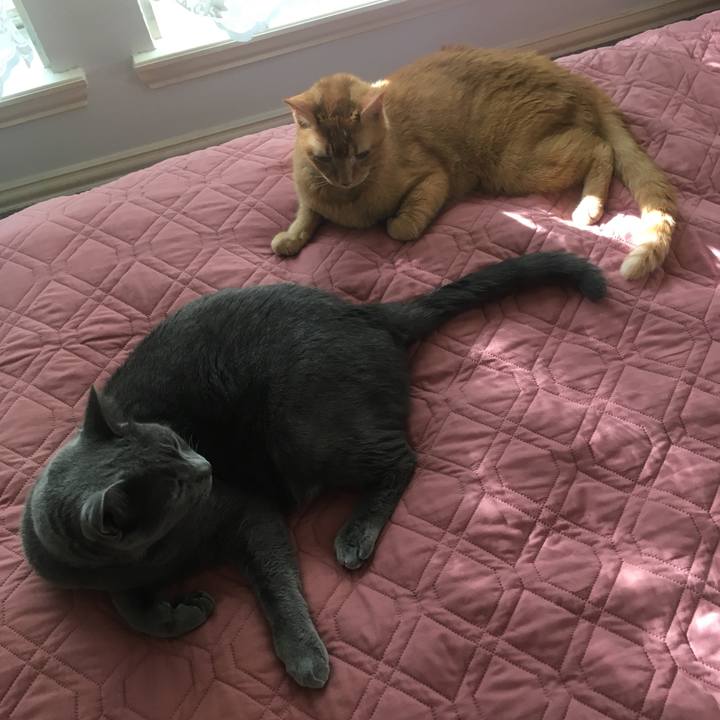 113a20d8 50bb 406a ba06 7981854574da 1664929060341