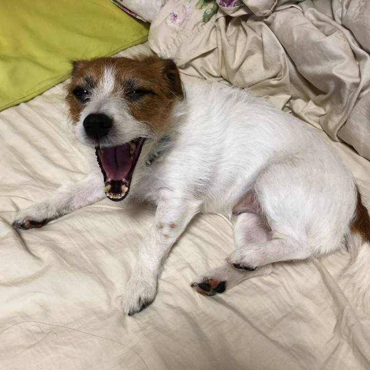 113a229f 9cb4 44bf 9b47 370c1f212308 1542999000422