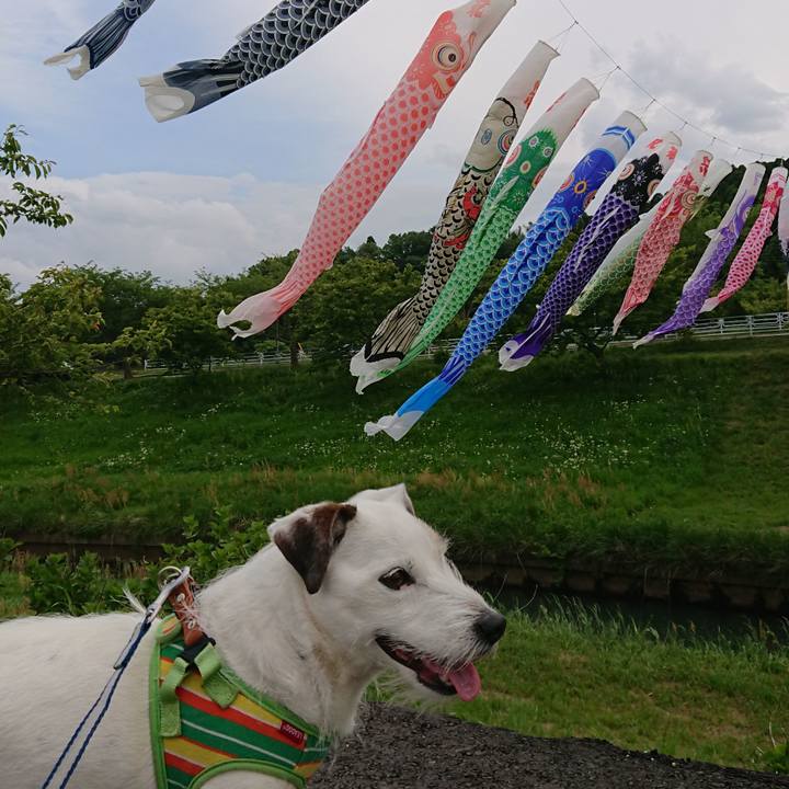 113a7718 a740 4b65 a104 afc47114b49b 1525106265524