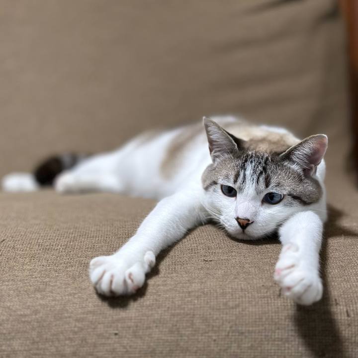 113a8bc5 5bed 4b8f b62a 7b69787db812 1692361024392