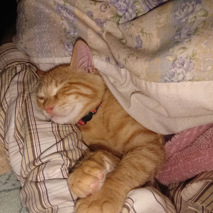 113ac860 7e3d 4796 a152 1ee7fb132b39 1633787374928