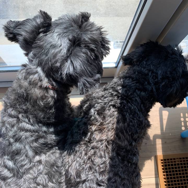 113ad38c f603 40f2 b043 29c4d245a7d5 1601432915300