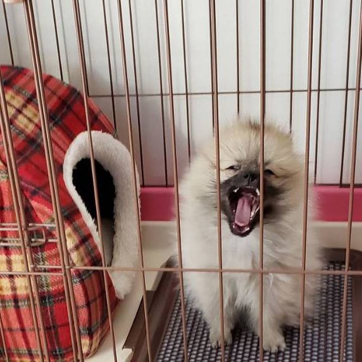 113aed5a f569 4be6 b26d 19cc476f3027 1610283433635