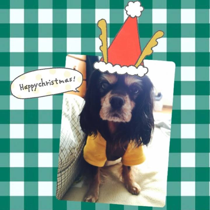 113b0337 3a4c 4795 8181 e36fd9bb95e4 1514078771452