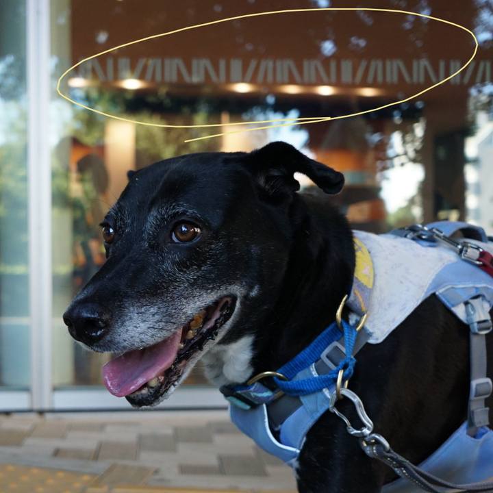 113b1f5f dac9 4e34 bd50 9ae3a185c9af 1757290148792