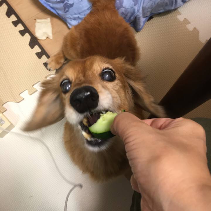 113b38a9 45ac 4251 b0f7 120d842c32ae 1625145474643