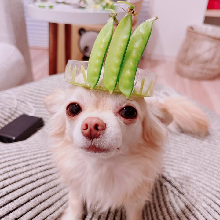 113b4b58 1f90 4daf 9ff7 712b4b467ff8 1684140691030