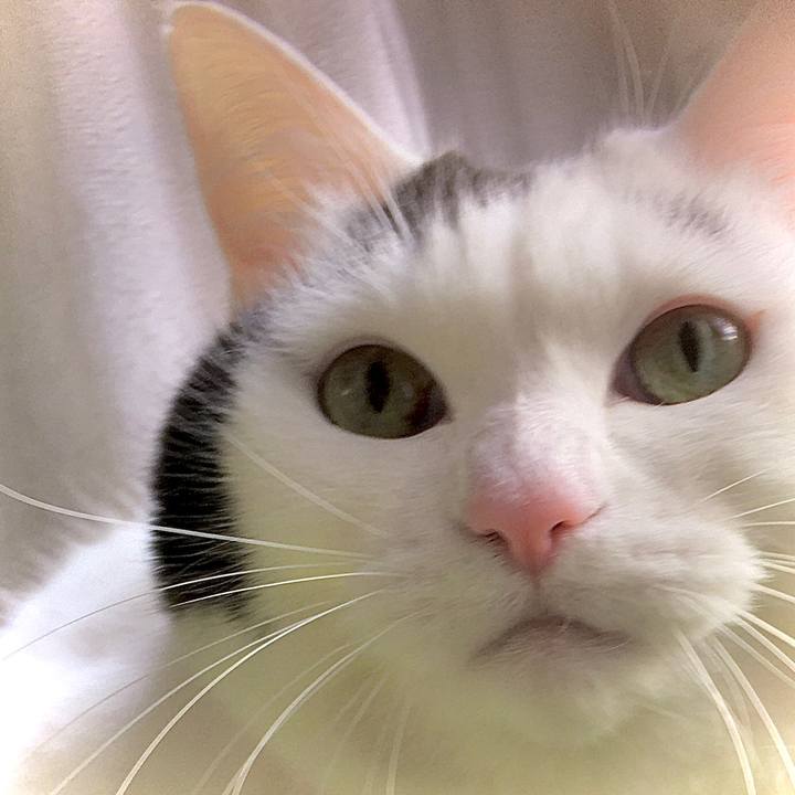 113bc6dd 31c1 4a5b a4e5 fb5a7c25613c 1578294181335