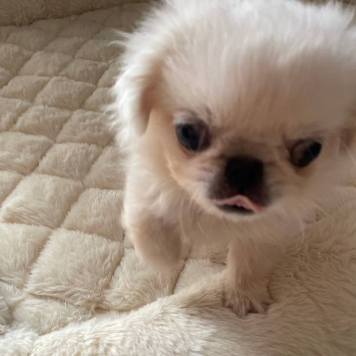 113bd672 cc82 4f2c 8cd2 cd8d274c6b18 1629681682967