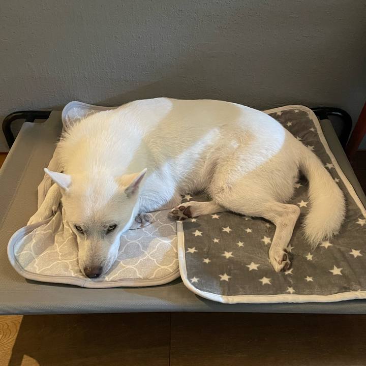 113bd9d9 eb71 43a1 84e5 476426325e6b 1665666888776