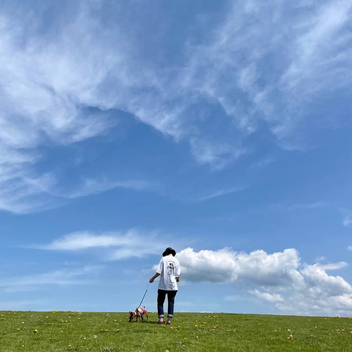 113c0104 e983 4880 b1b5 71250afe907a 1684609121261