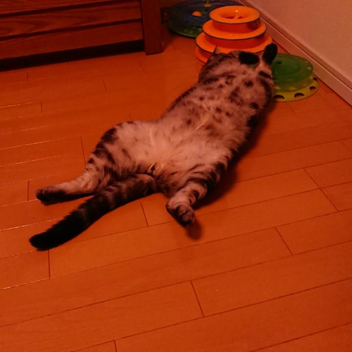 113c2d77 bee6 49b0 9f39 b7a1209c7bcd 1597664598672