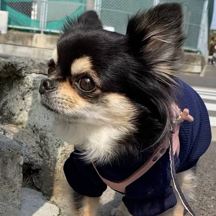 113c377b 0069 41be 9b0a 40a6f60c806d 1646193023163