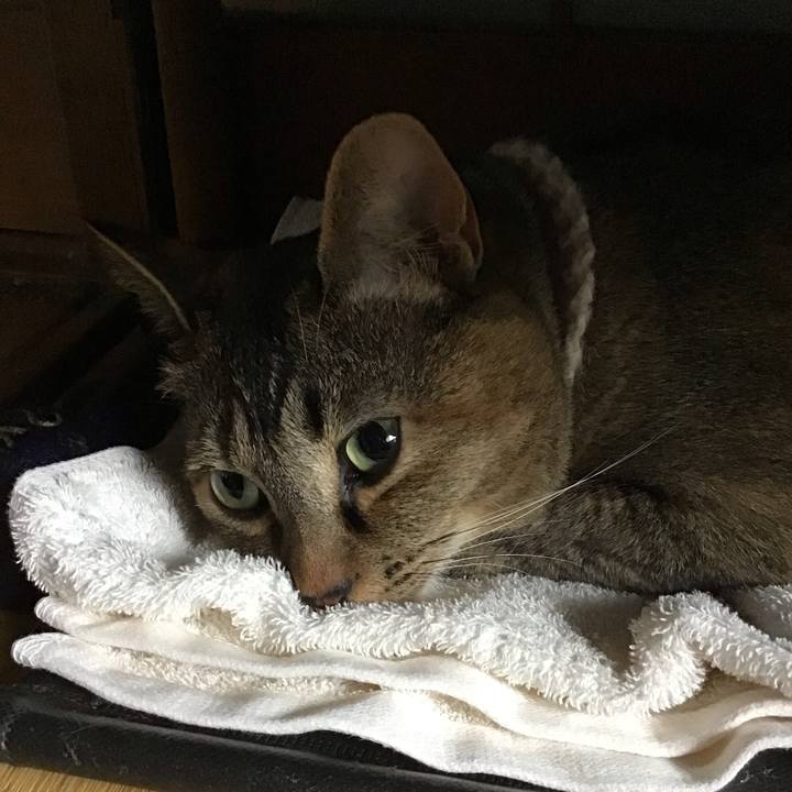 113c62ee 3fb1 49d7 9a59 11c478c8af8c 1655529042481