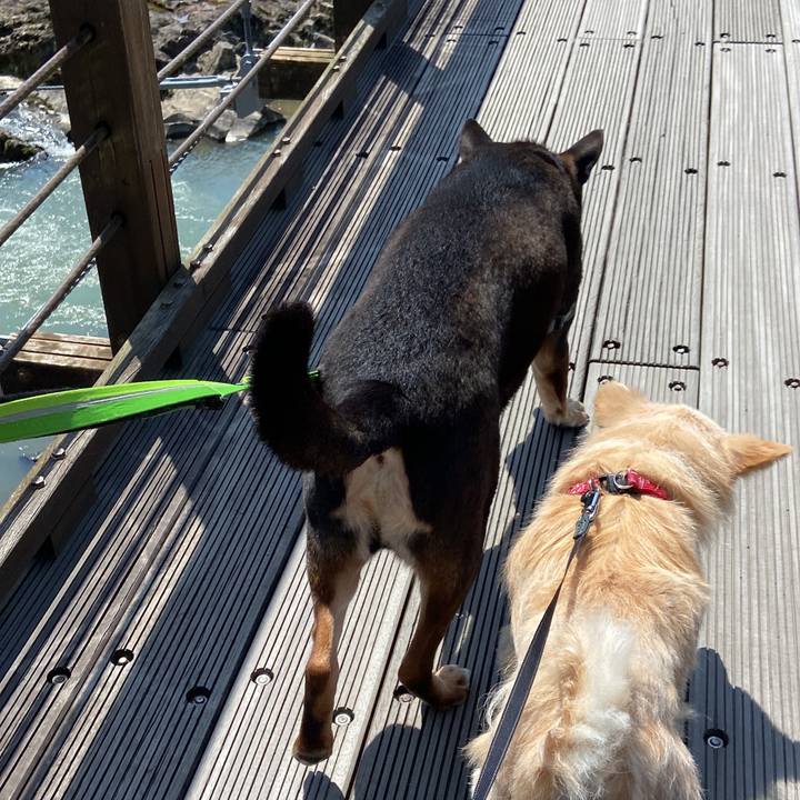 113c6683 ba64 48f7 8eac c020185a6ba2 1649235240710