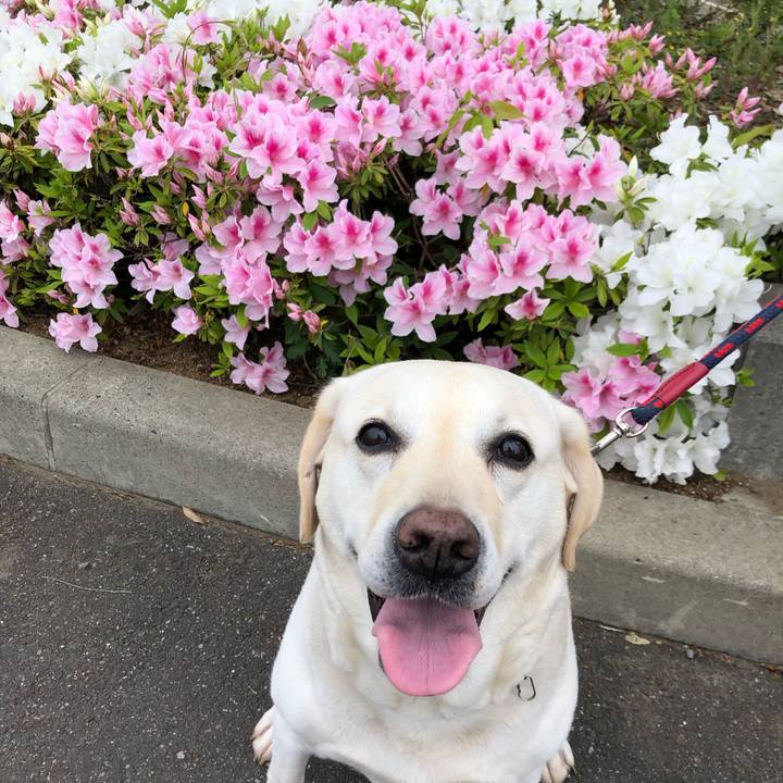 113c8bf3 6750 4982 8411 0ecb90f0e5f3 1650775639438