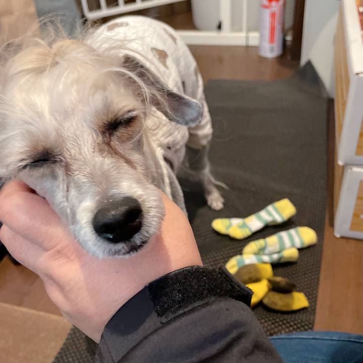 113c8e2d e4f2 417f bdc7 3e60392ebb02 1768103818845