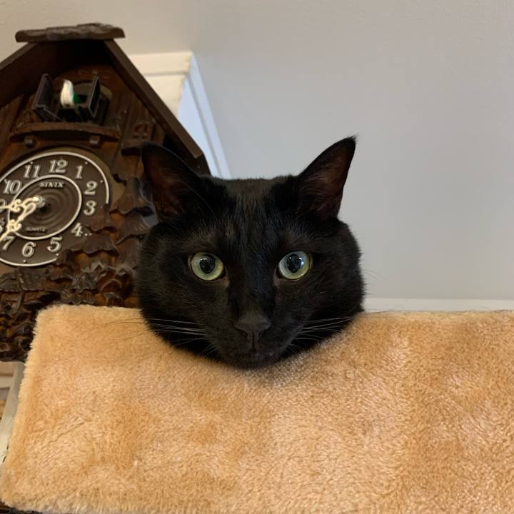 113caa3b b422 46ae a7ae 4ee8b68d4f8c 1690328983779