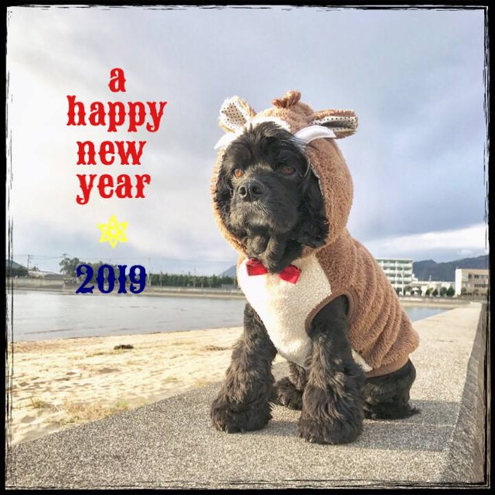 113cc399 30c7 4515 aba2 1bbeed8d8656 1546319484604