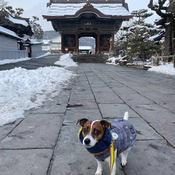 113d0159 8ee0 4845 9532 b1d1cb04f488 1675870653781