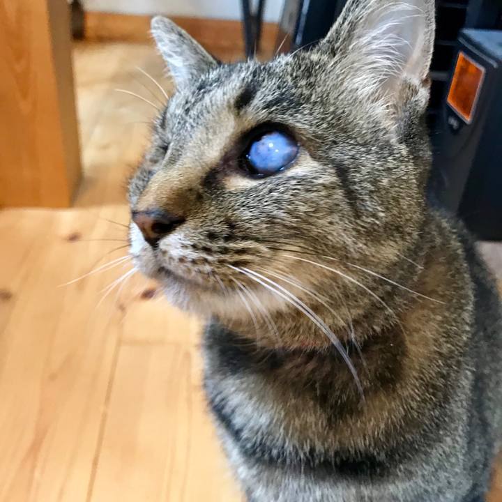 113d1113 a7bb 4876 8077 67e9ecc47dc7 1562029777438