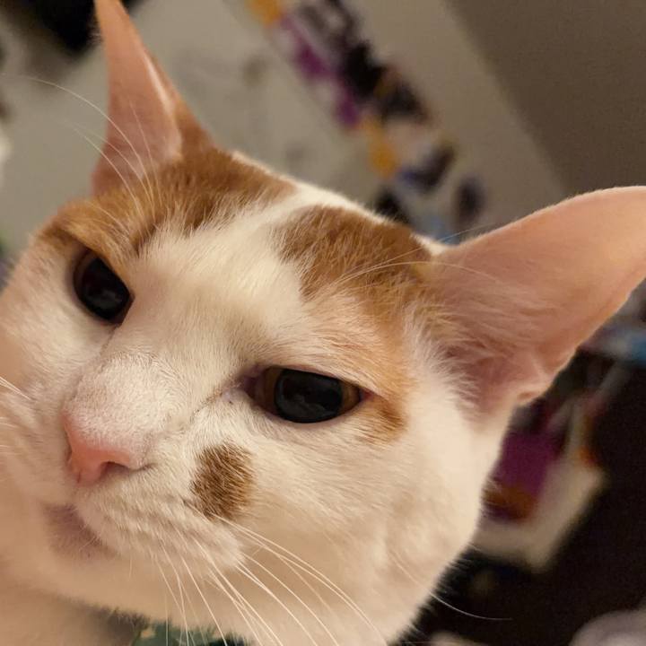 113d6b37 0653 40a7 9909 200c8a7b532c 1772356398510